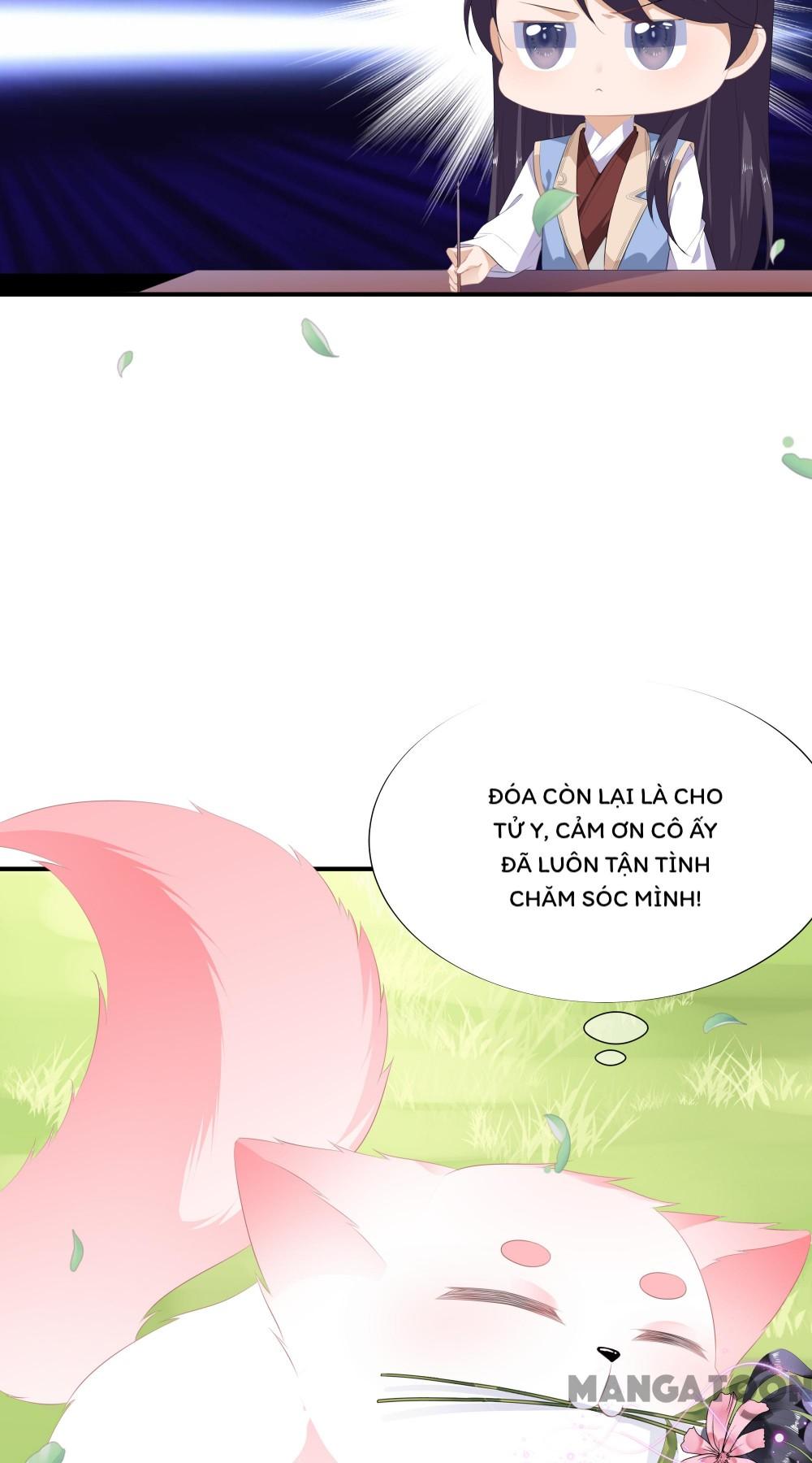 Hồ Phi Chớ Dây Vào Lửa Chapter 11 - Trang 5