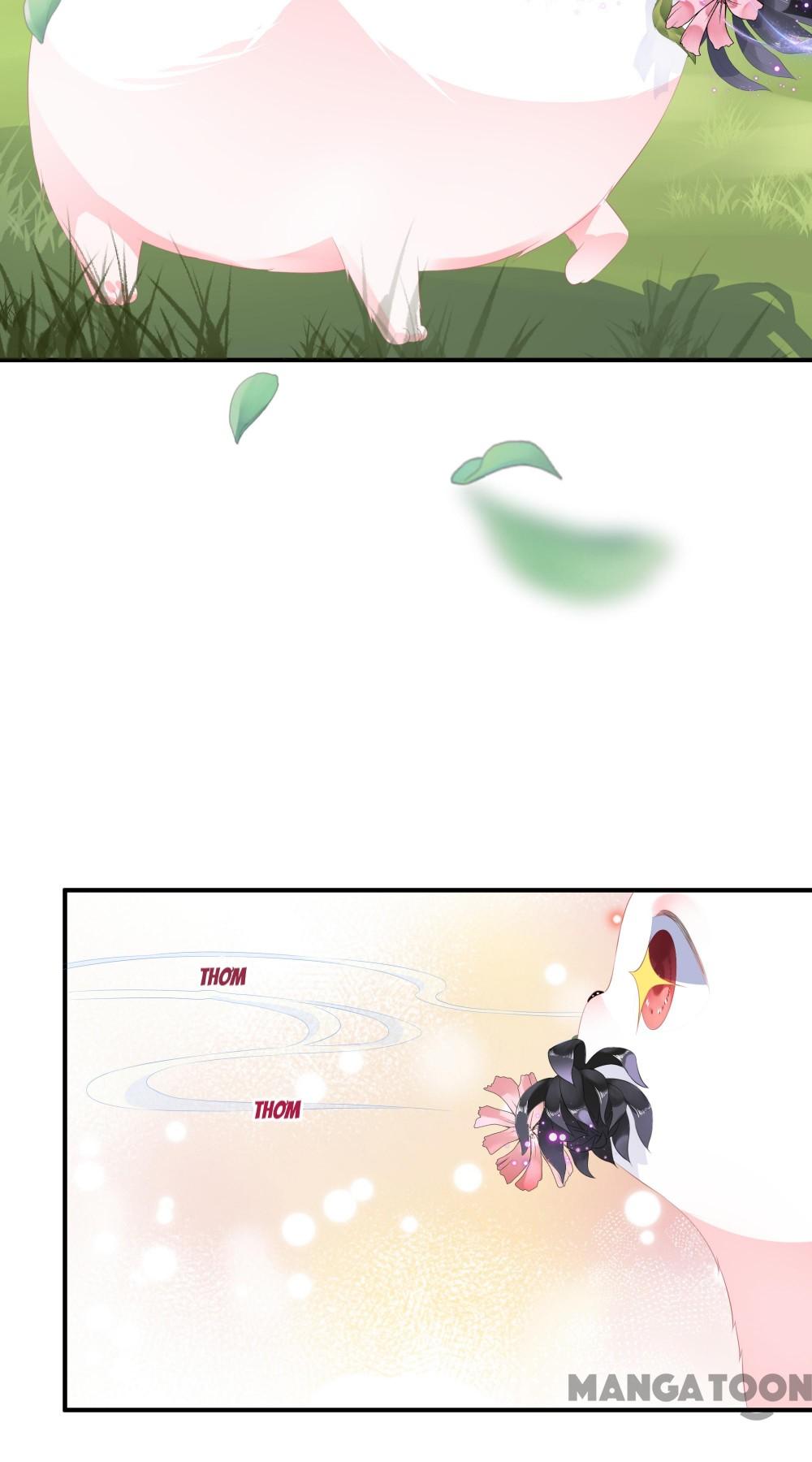 Hồ Phi Chớ Dây Vào Lửa Chapter 11 - Trang 6