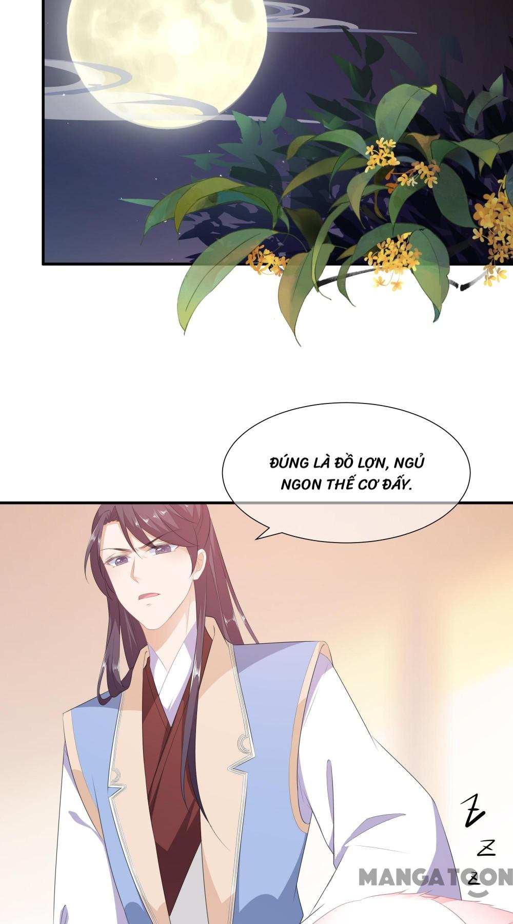 Hồ Phi Chớ Dây Vào Lửa Chapter 12 - Trang 19