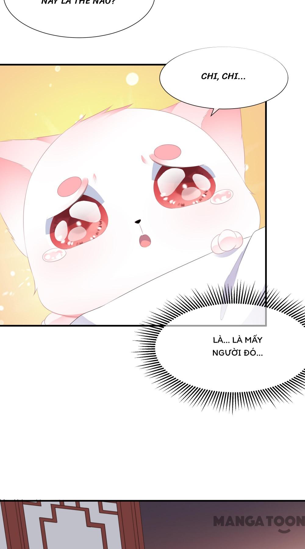 Hồ Phi Chớ Dây Vào Lửa Chapter 12 - Trang 24