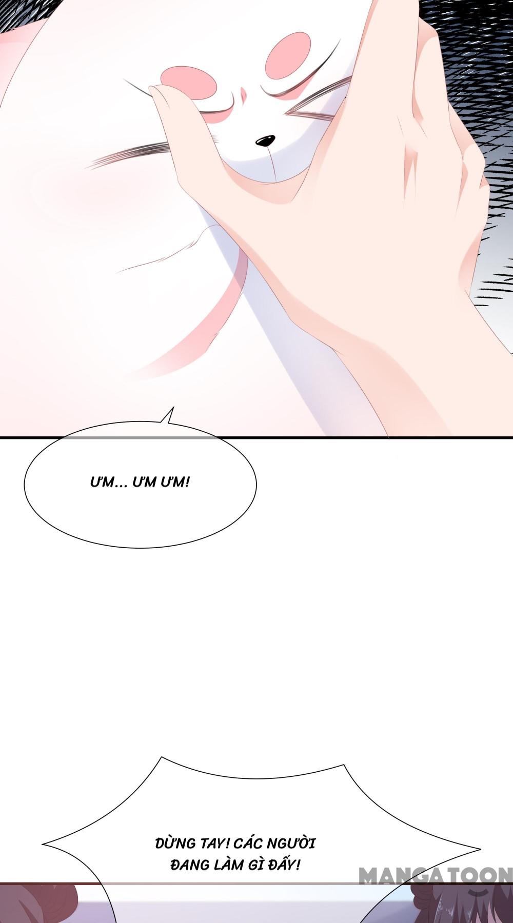 Hồ Phi Chớ Dây Vào Lửa Chapter 12 - Trang 4