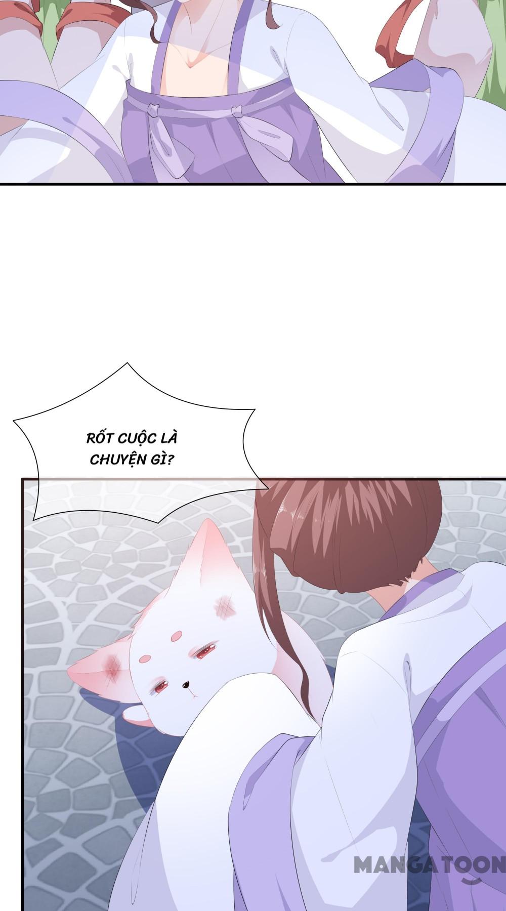 Hồ Phi Chớ Dây Vào Lửa Chapter 12 - Trang 6