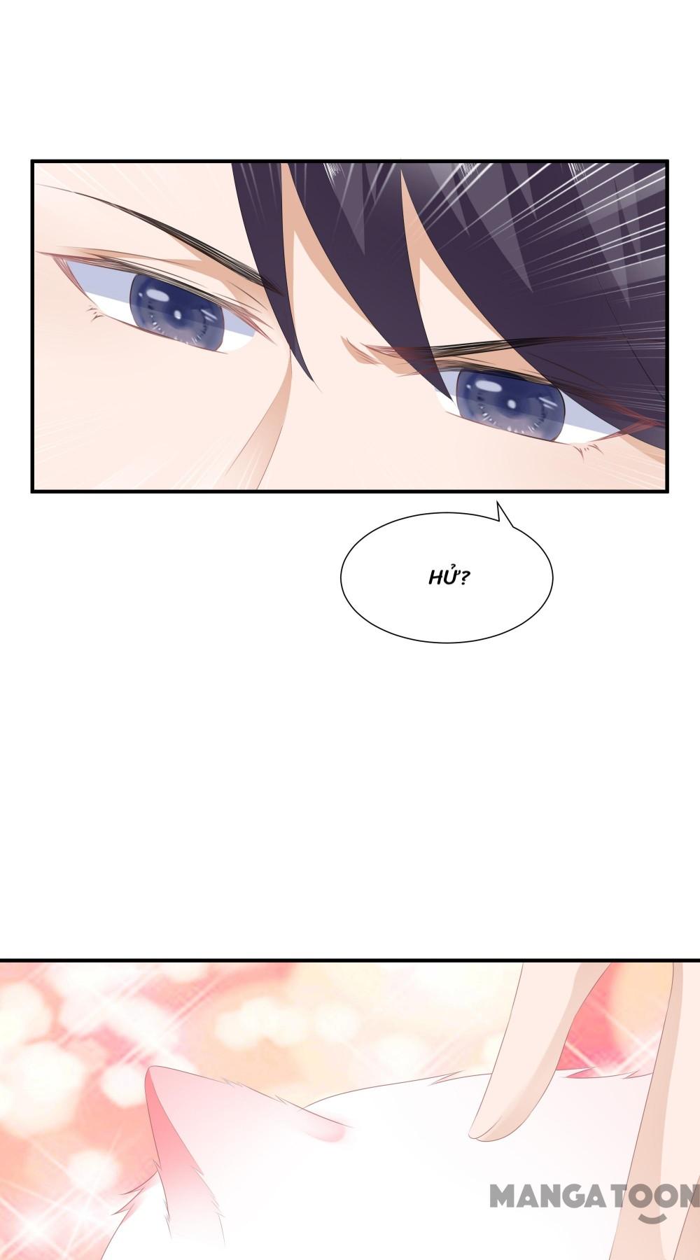 Hồ Phi Chớ Dây Vào Lửa Chapter 13 - Trang 12