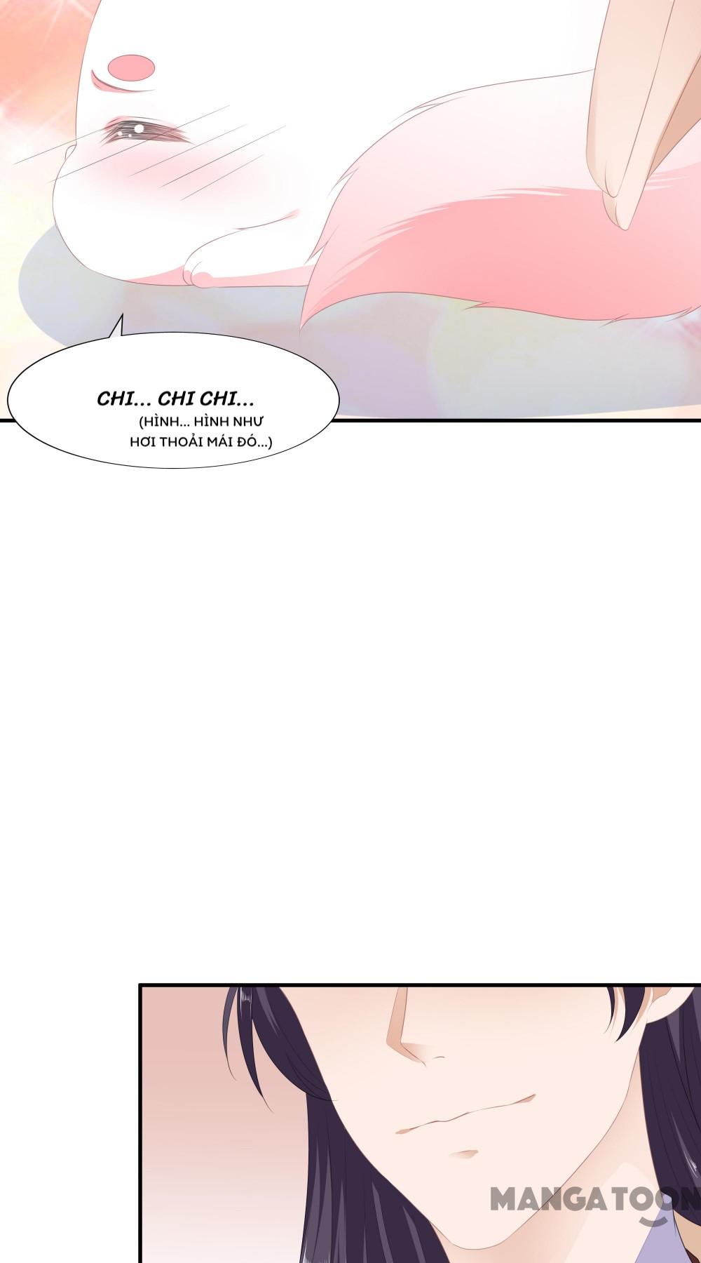 Hồ Phi Chớ Dây Vào Lửa Chapter 13 - Trang 13