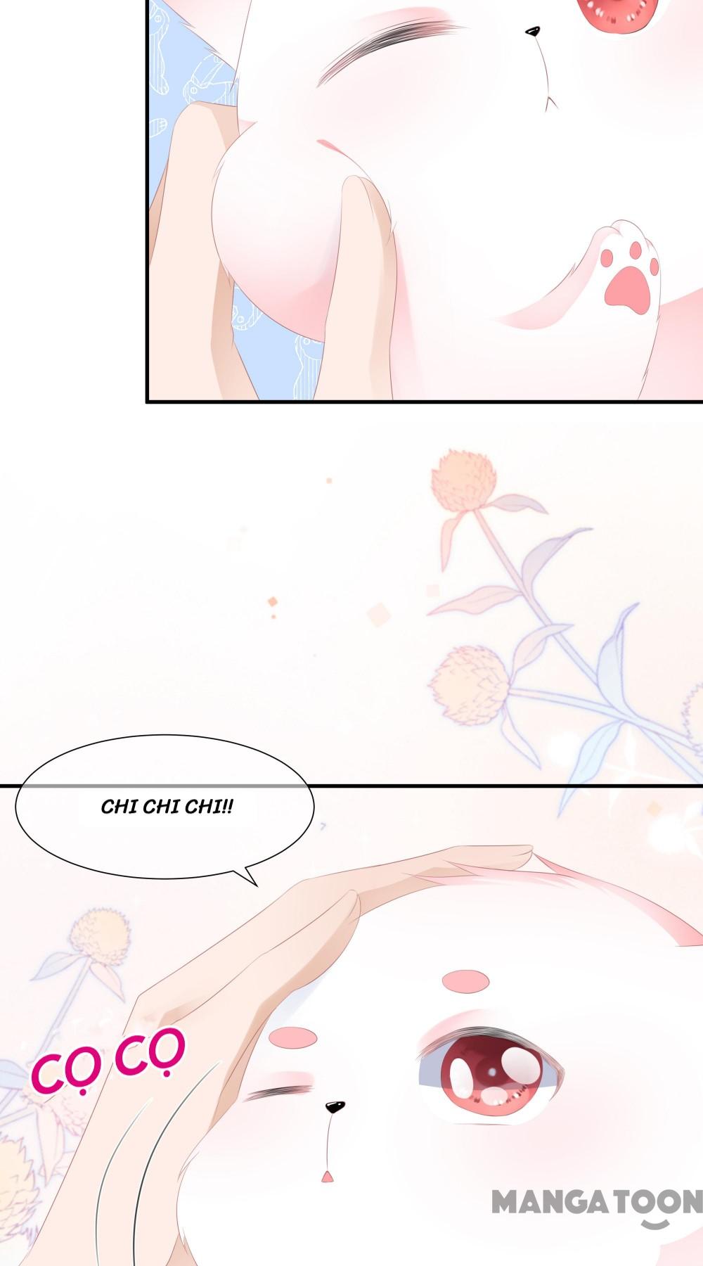 Hồ Phi Chớ Dây Vào Lửa Chapter 13 - Trang 18
