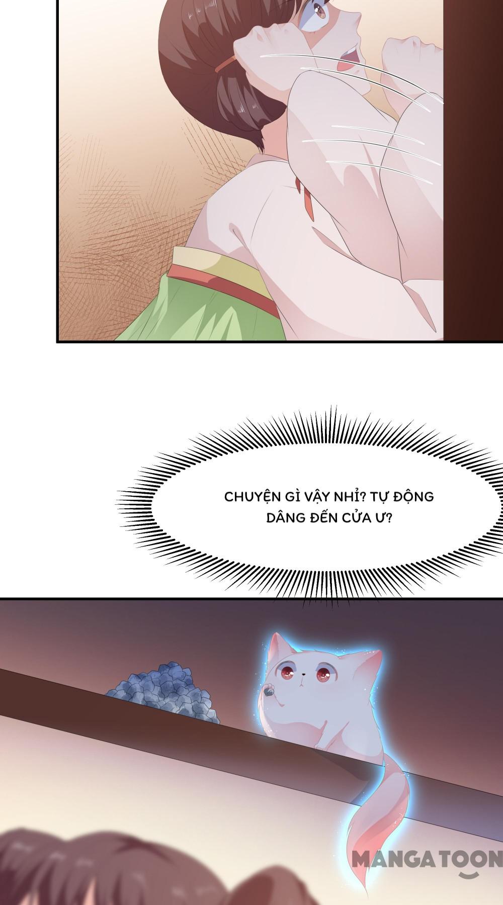 Hồ Phi Chớ Dây Vào Lửa Chapter 14 - Trang 12