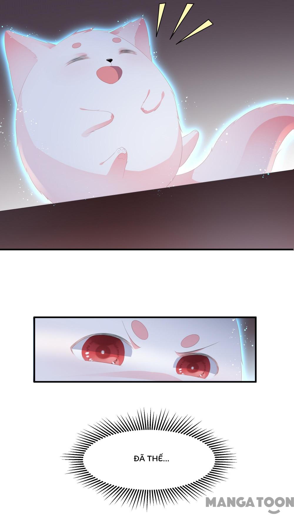Hồ Phi Chớ Dây Vào Lửa Chapter 14 - Trang 21