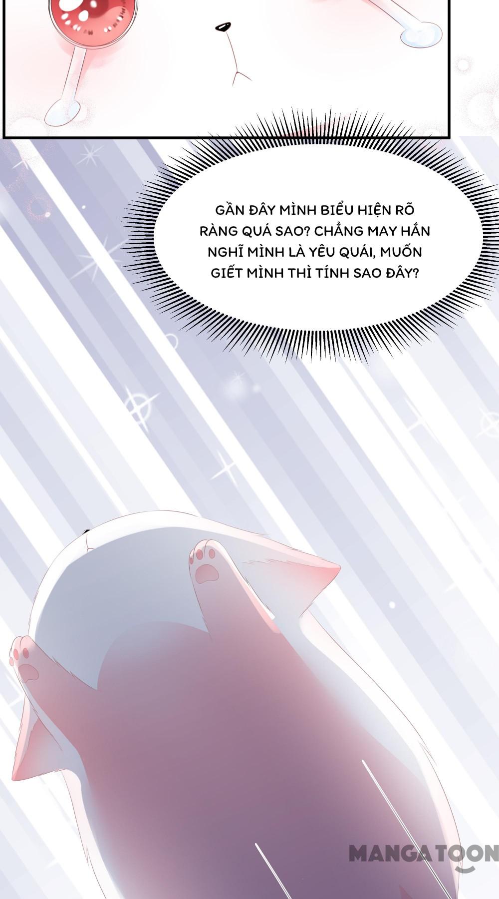 Hồ Phi Chớ Dây Vào Lửa Chapter 15 - Trang 11
