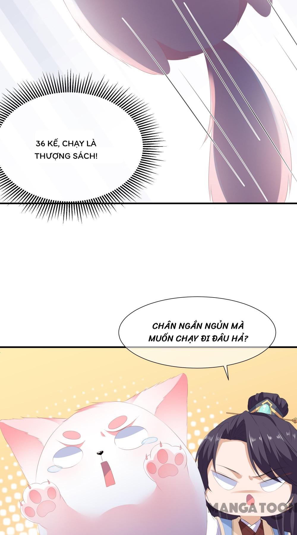 Hồ Phi Chớ Dây Vào Lửa Chapter 15 - Trang 12
