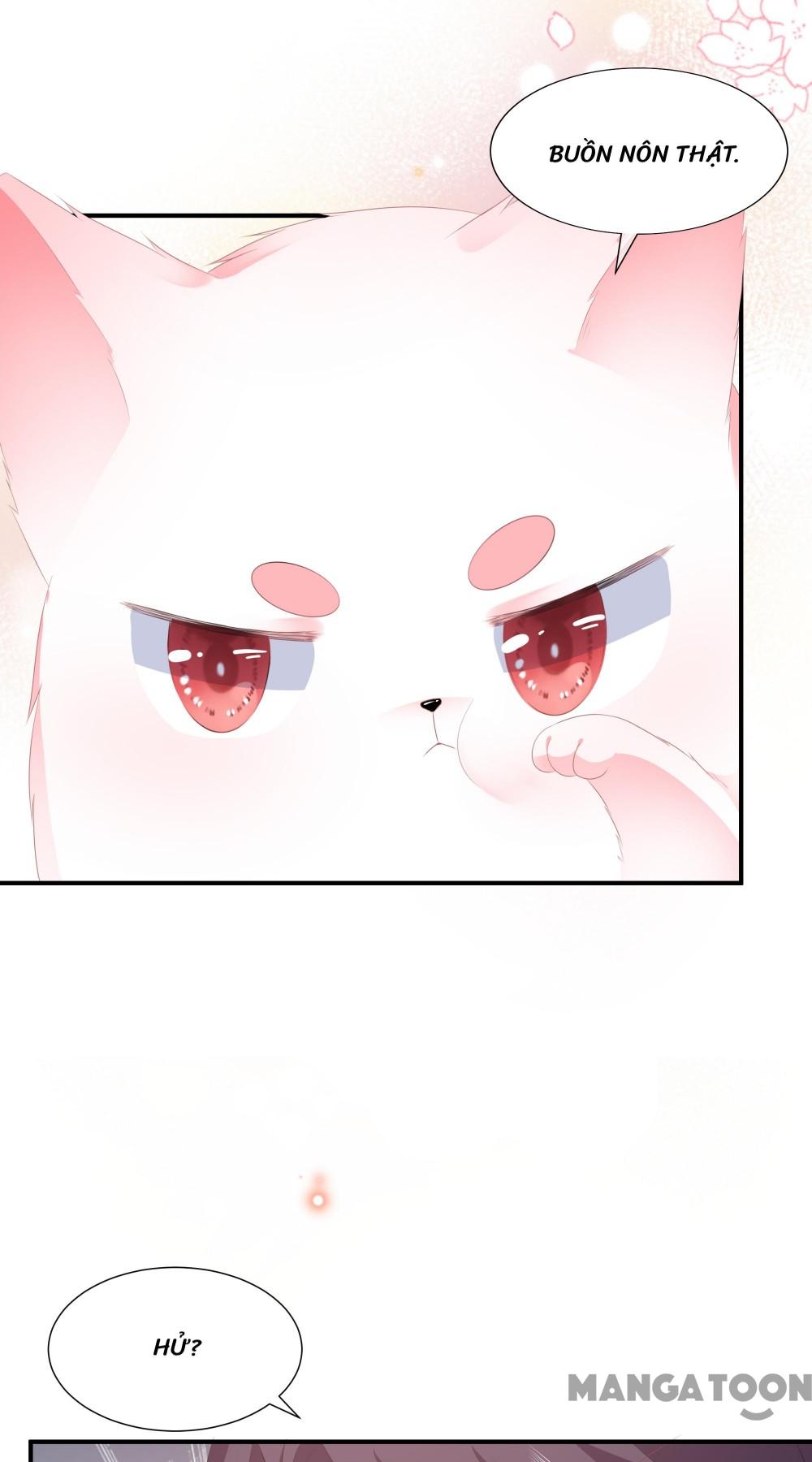 Hồ Phi Chớ Dây Vào Lửa Chapter 15 - Trang 17