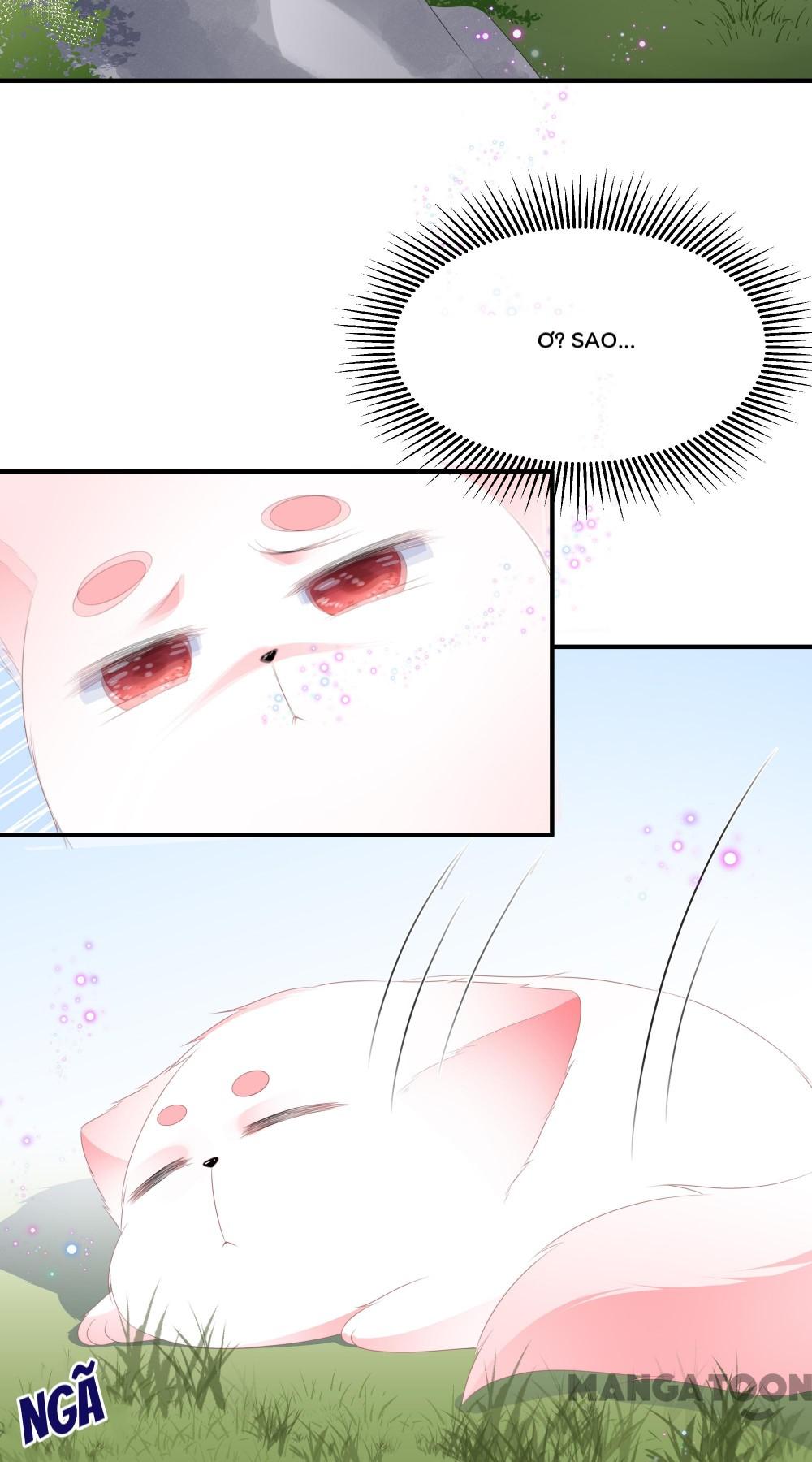 Hồ Phi Chớ Dây Vào Lửa Chapter 15 - Trang 28