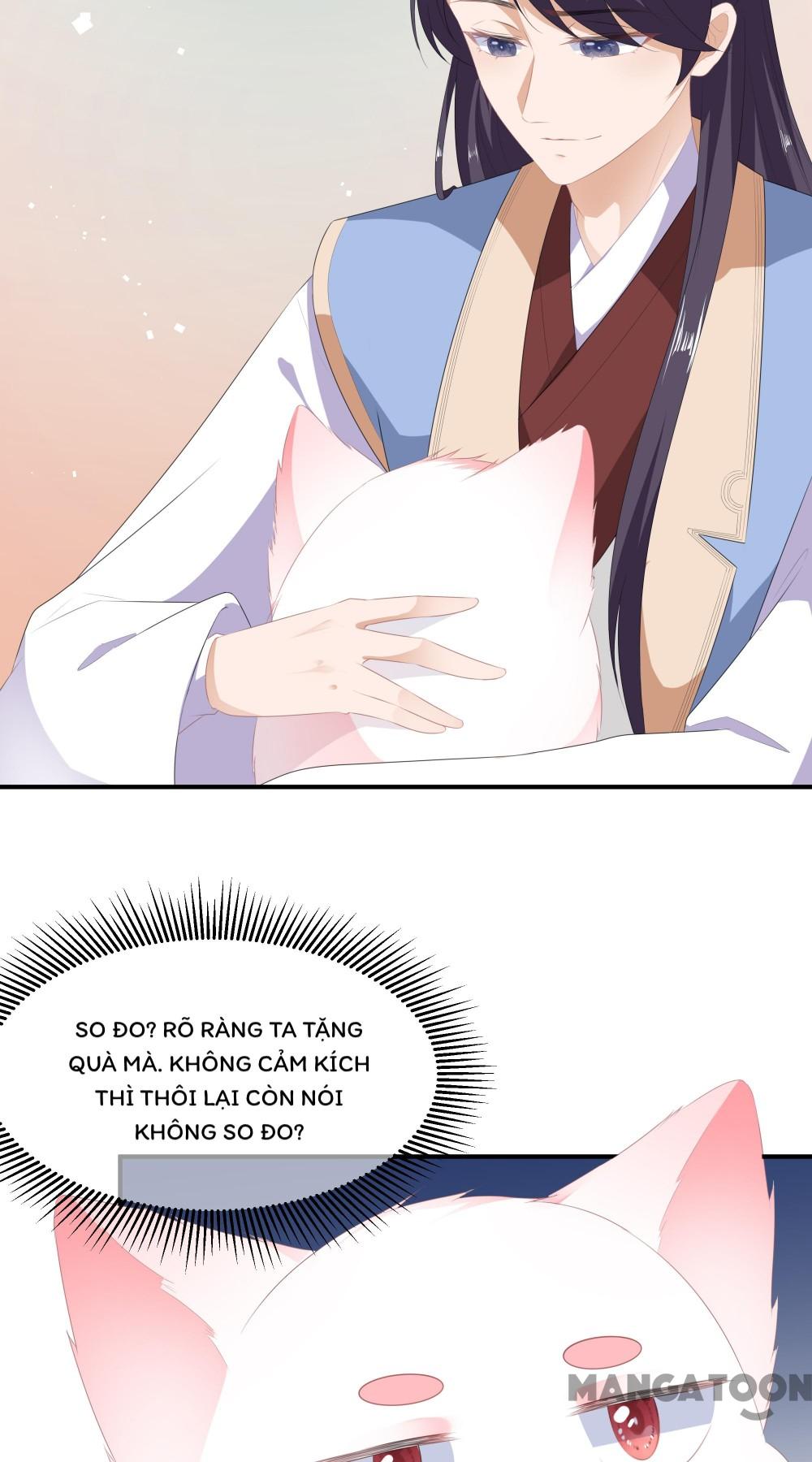 Hồ Phi Chớ Dây Vào Lửa Chapter 15 - Trang 4