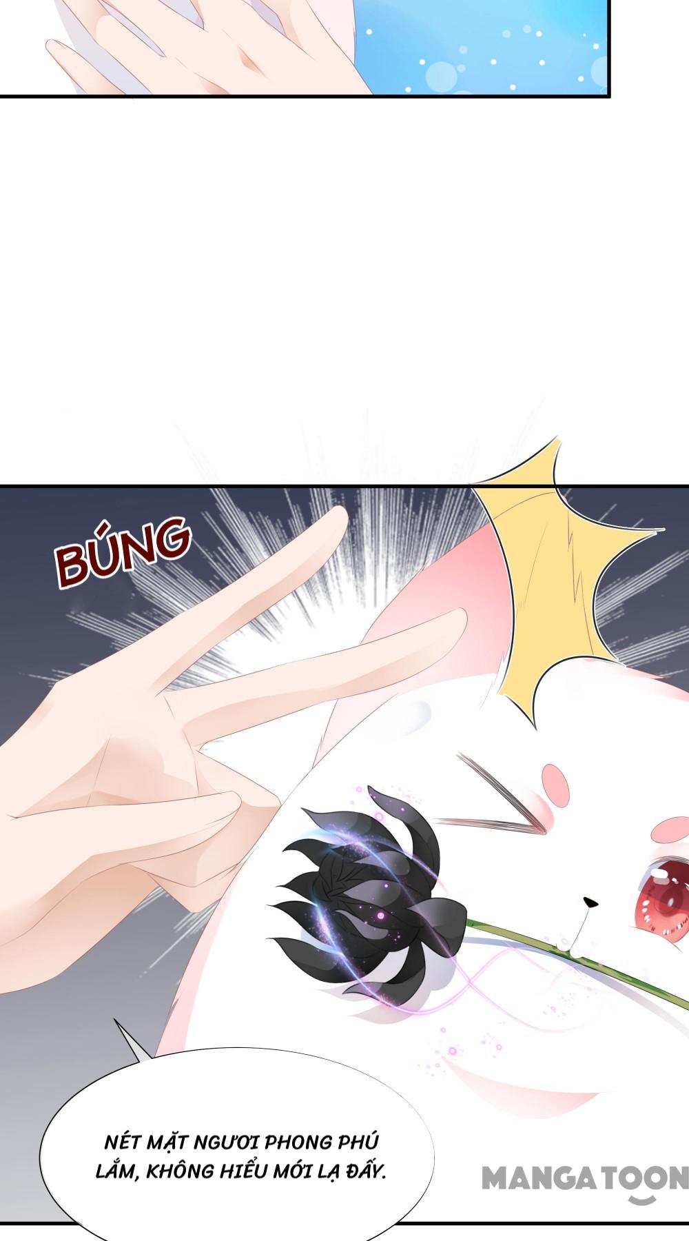 Hồ Phi Chớ Dây Vào Lửa Chapter 15 - Trang 7