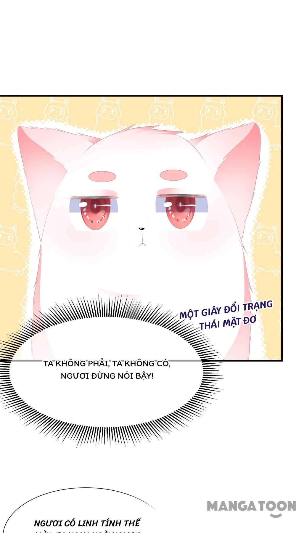 Hồ Phi Chớ Dây Vào Lửa Chapter 15 - Trang 9