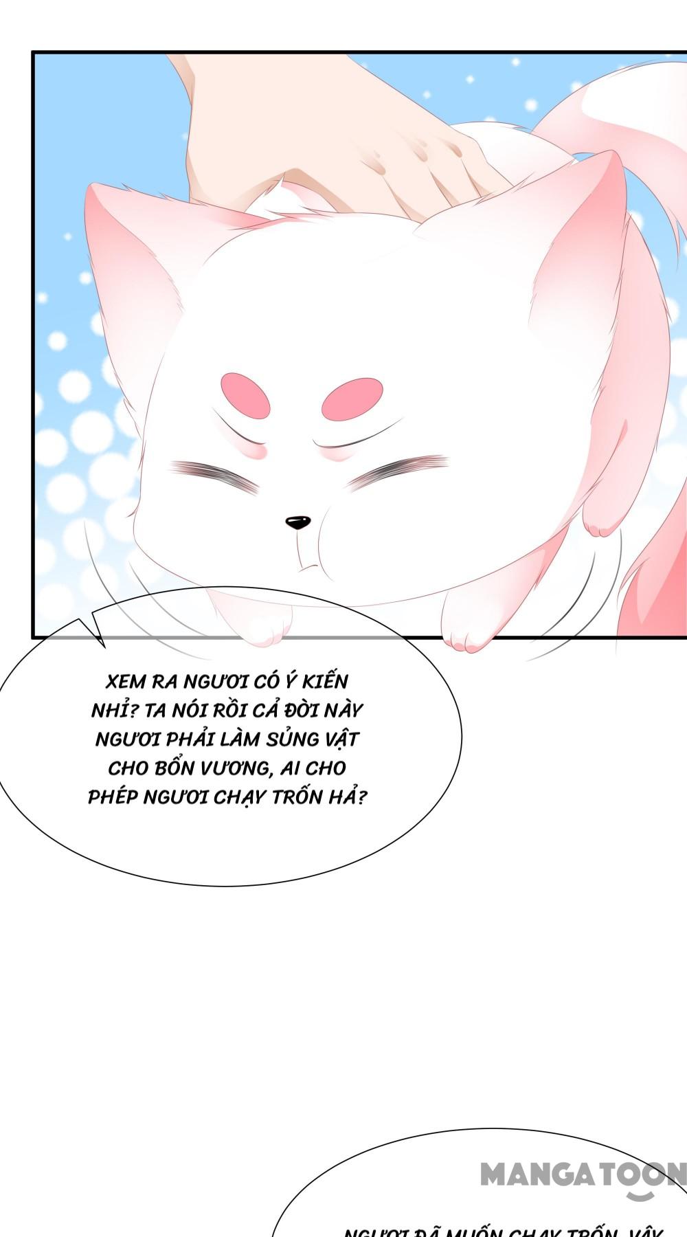 Hồ Phi Chớ Dây Vào Lửa Chapter 16 - Trang 13