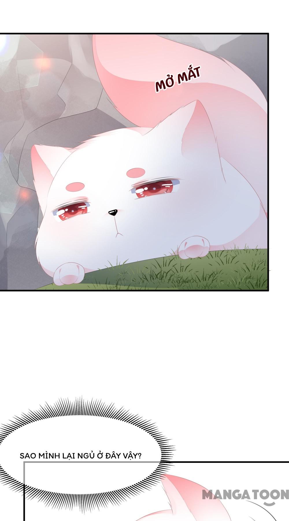 Hồ Phi Chớ Dây Vào Lửa Chapter 16 - Trang 3