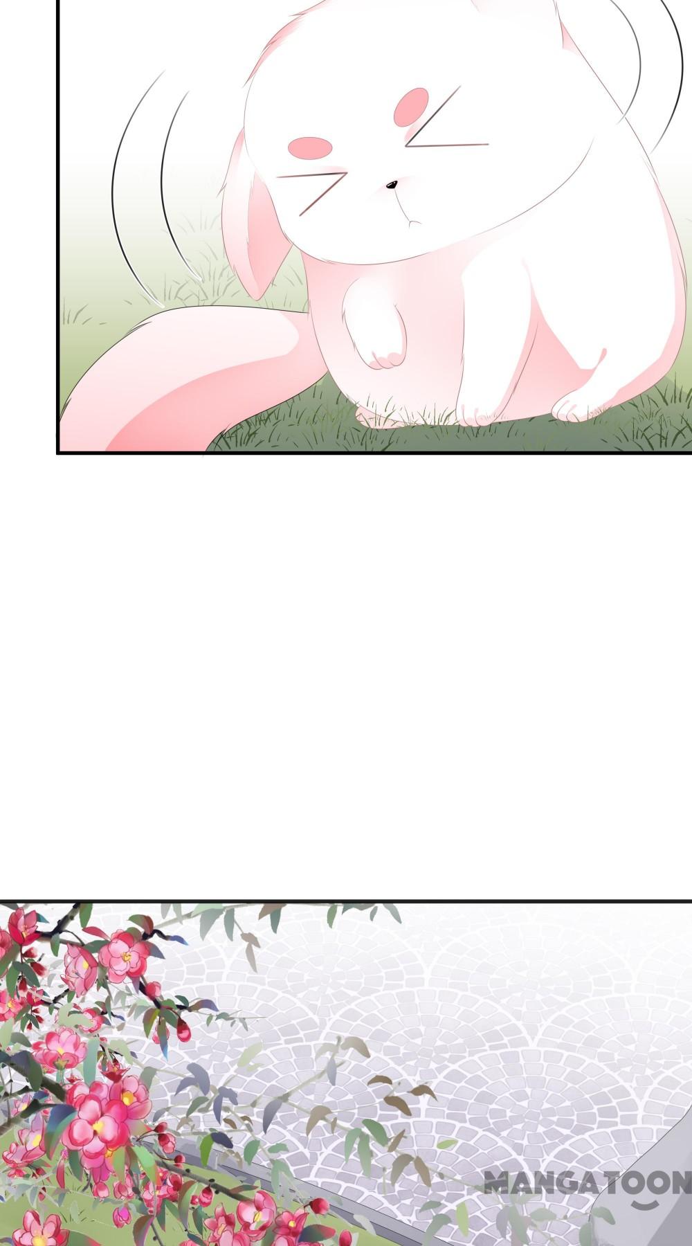 Hồ Phi Chớ Dây Vào Lửa Chapter 16 - Trang 4