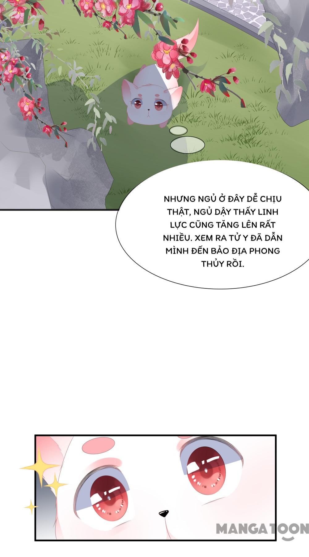 Hồ Phi Chớ Dây Vào Lửa Chapter 16 - Trang 5