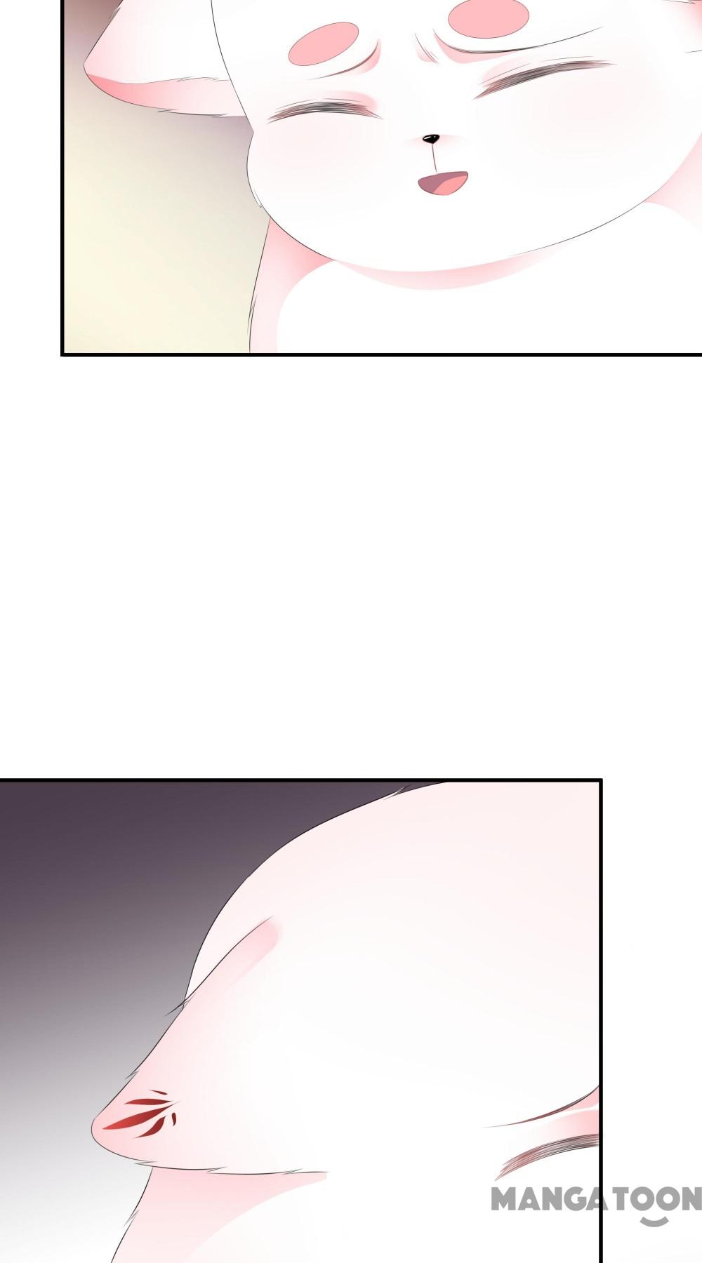Hồ Phi Chớ Dây Vào Lửa Chapter 17 - Trang 12