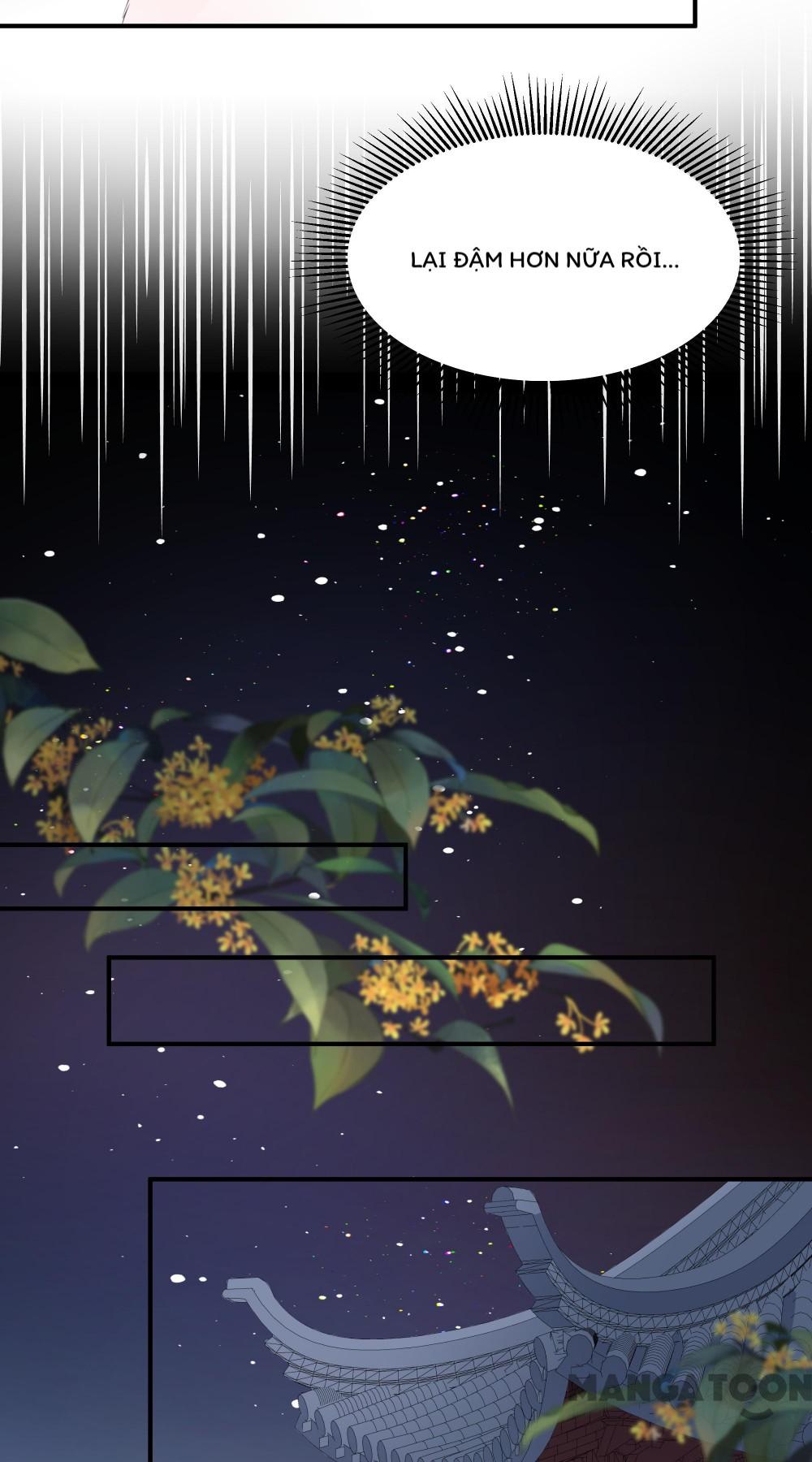 Hồ Phi Chớ Dây Vào Lửa Chapter 17 - Trang 13