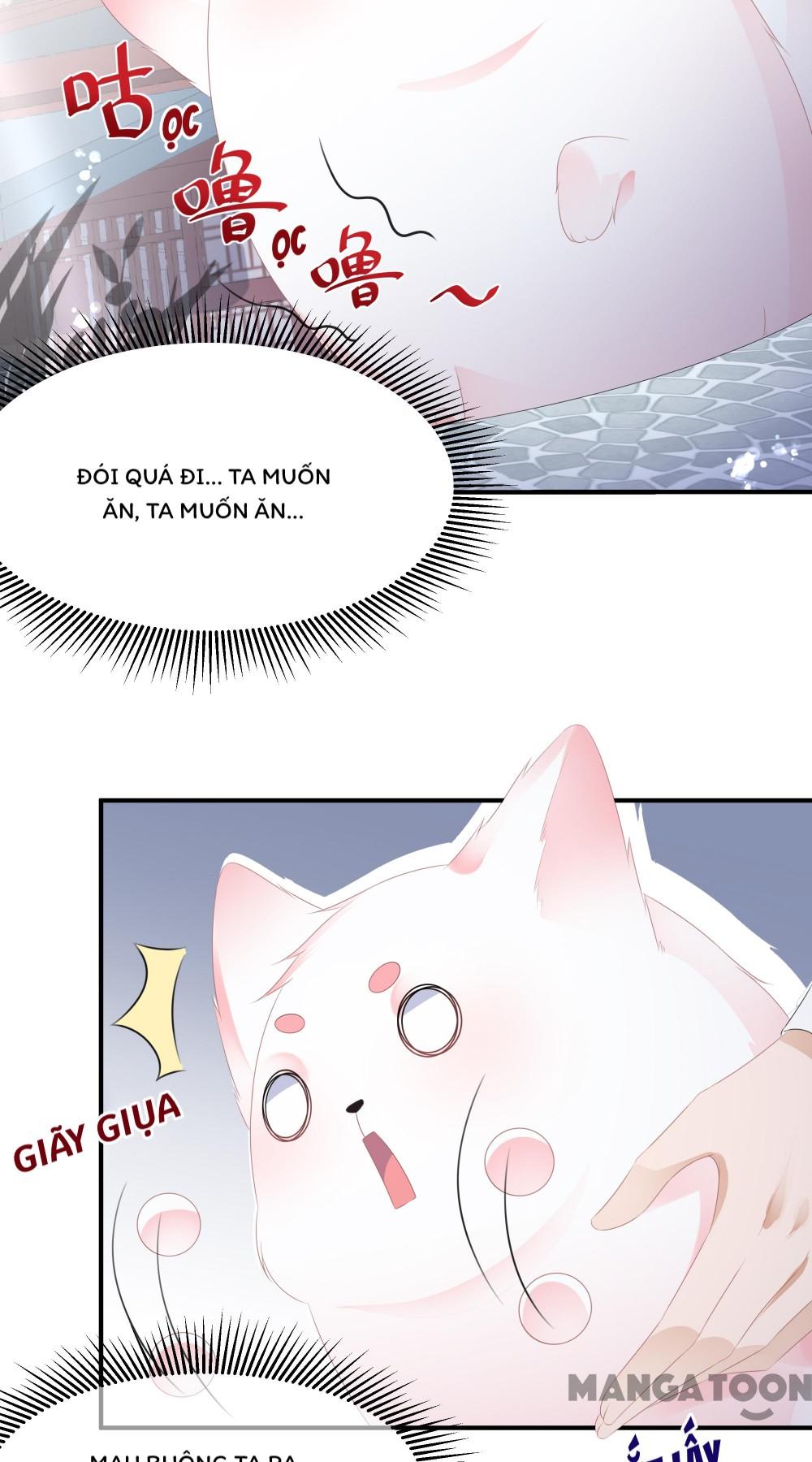 Hồ Phi Chớ Dây Vào Lửa Chapter 17 - Trang 25