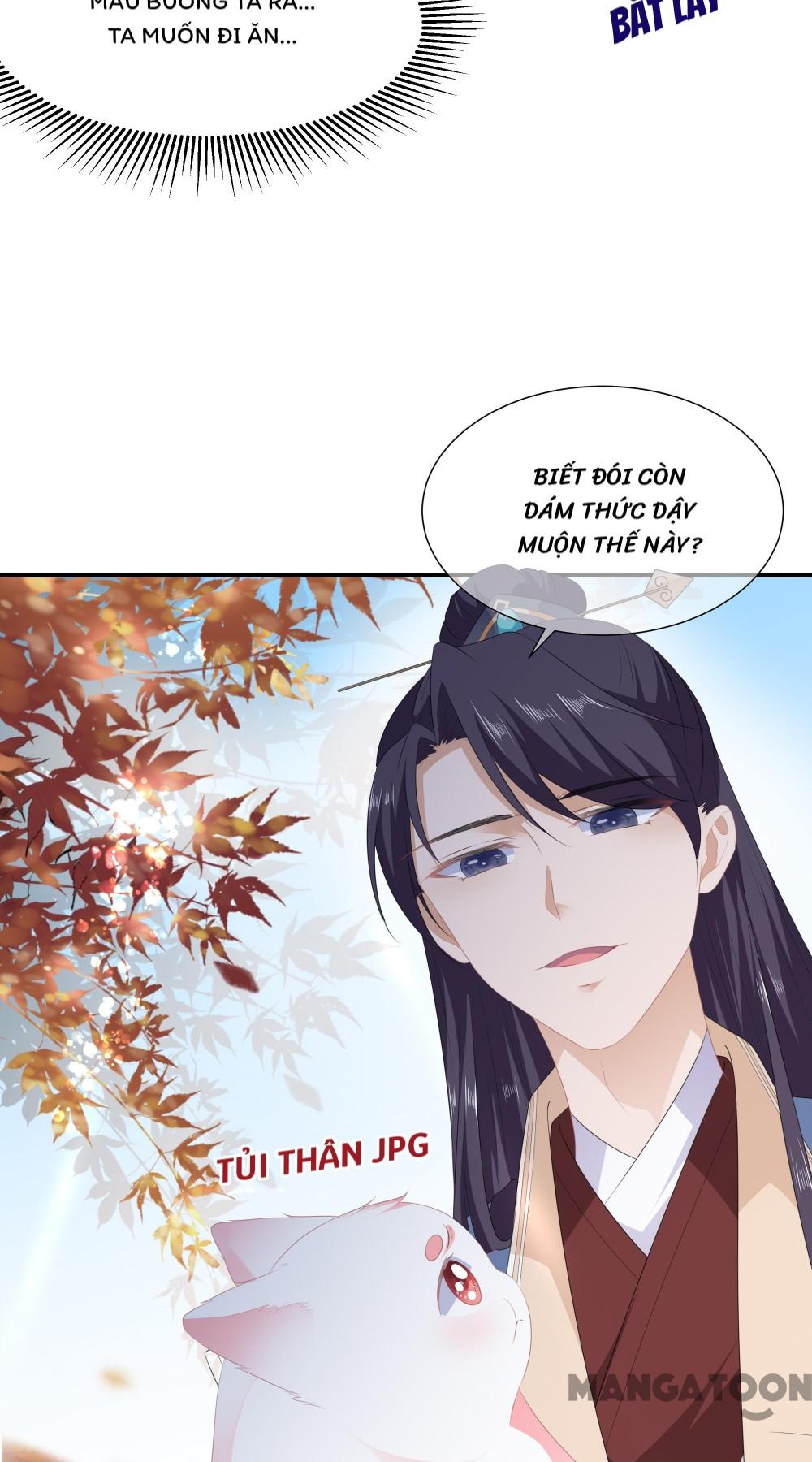 Hồ Phi Chớ Dây Vào Lửa Chapter 17 - Trang 26