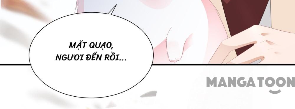 Hồ Phi Chớ Dây Vào Lửa Chapter 17 - Trang 27