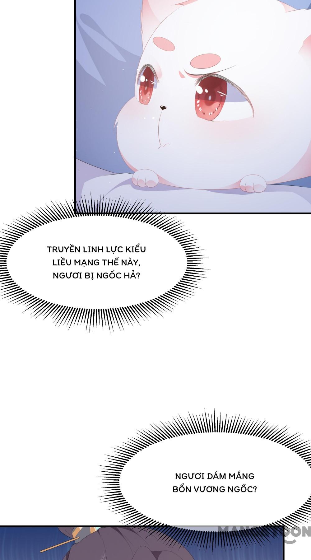 Hồ Phi Chớ Dây Vào Lửa Chapter 17 - Trang 3