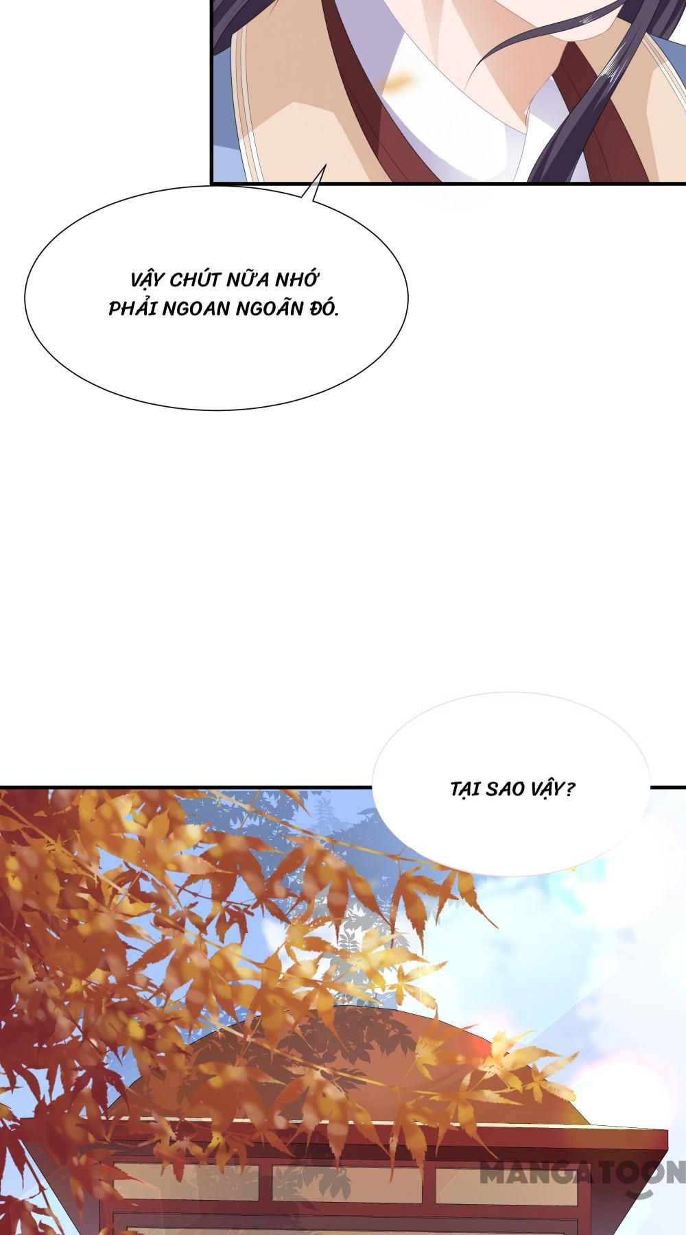 Hồ Phi Chớ Dây Vào Lửa Chapter 17 - Trang 30