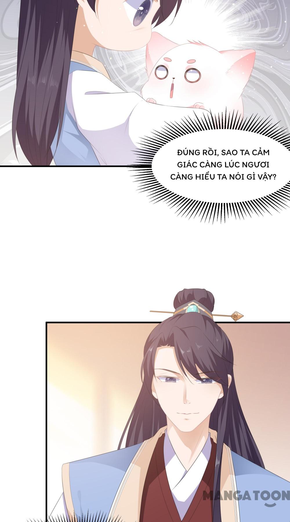 Hồ Phi Chớ Dây Vào Lửa Chapter 17 - Trang 5