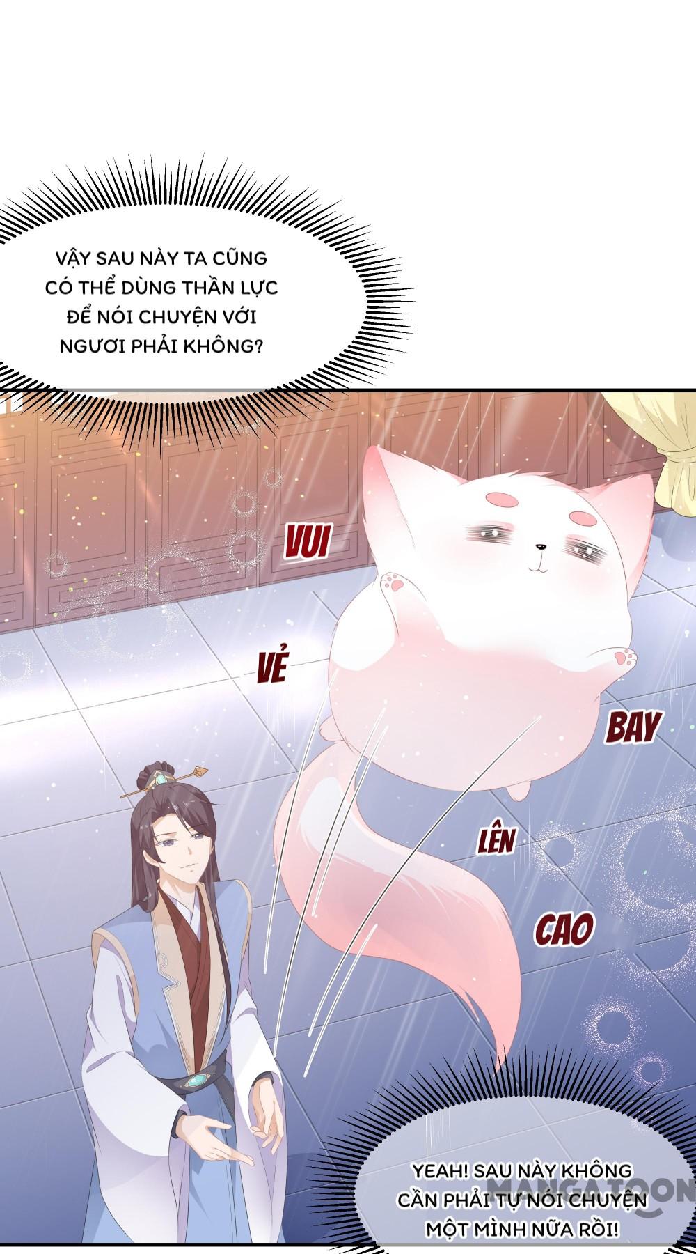 Hồ Phi Chớ Dây Vào Lửa Chapter 17 - Trang 7