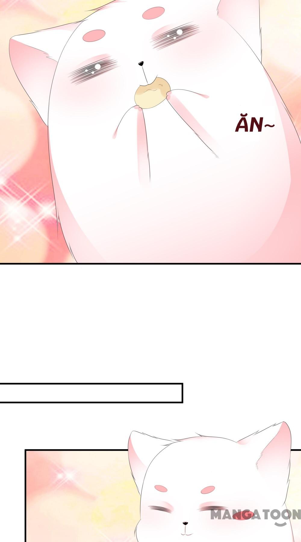Hồ Phi Chớ Dây Vào Lửa Chapter 18 - Trang 22
