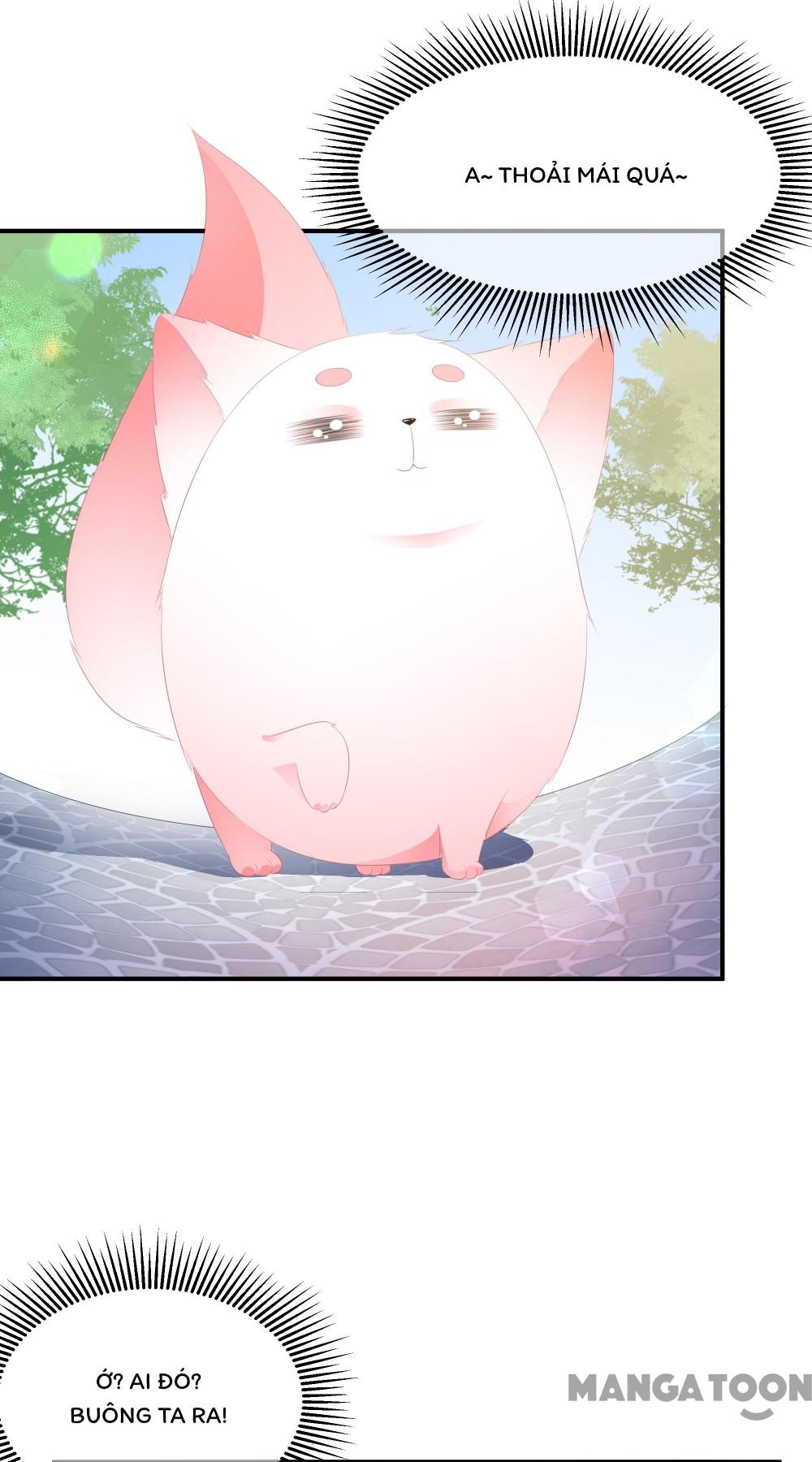 Hồ Phi Chớ Dây Vào Lửa Chapter 19 - Trang 2