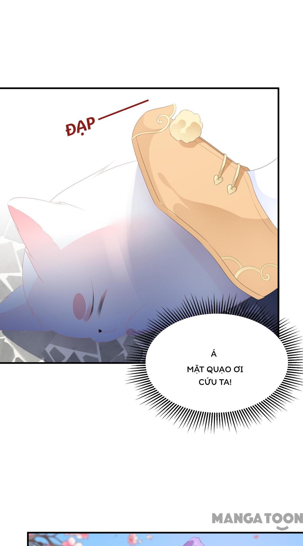 Hồ Phi Chớ Dây Vào Lửa Chapter 19 - Trang 20