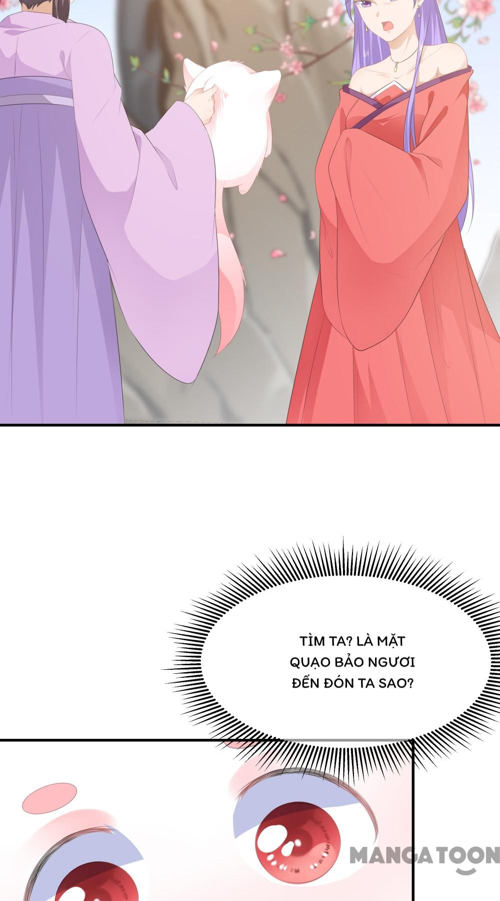 Hồ Phi Chớ Dây Vào Lửa Chapter 19 - Trang 4