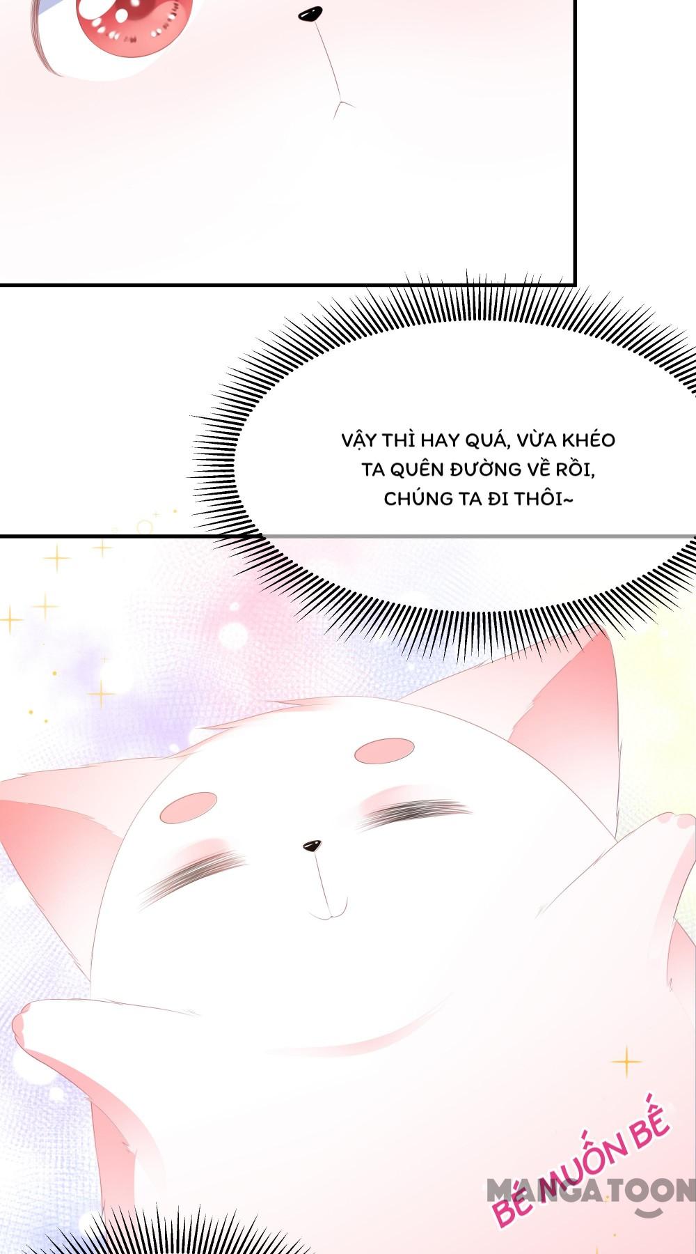 Hồ Phi Chớ Dây Vào Lửa Chapter 19 - Trang 5