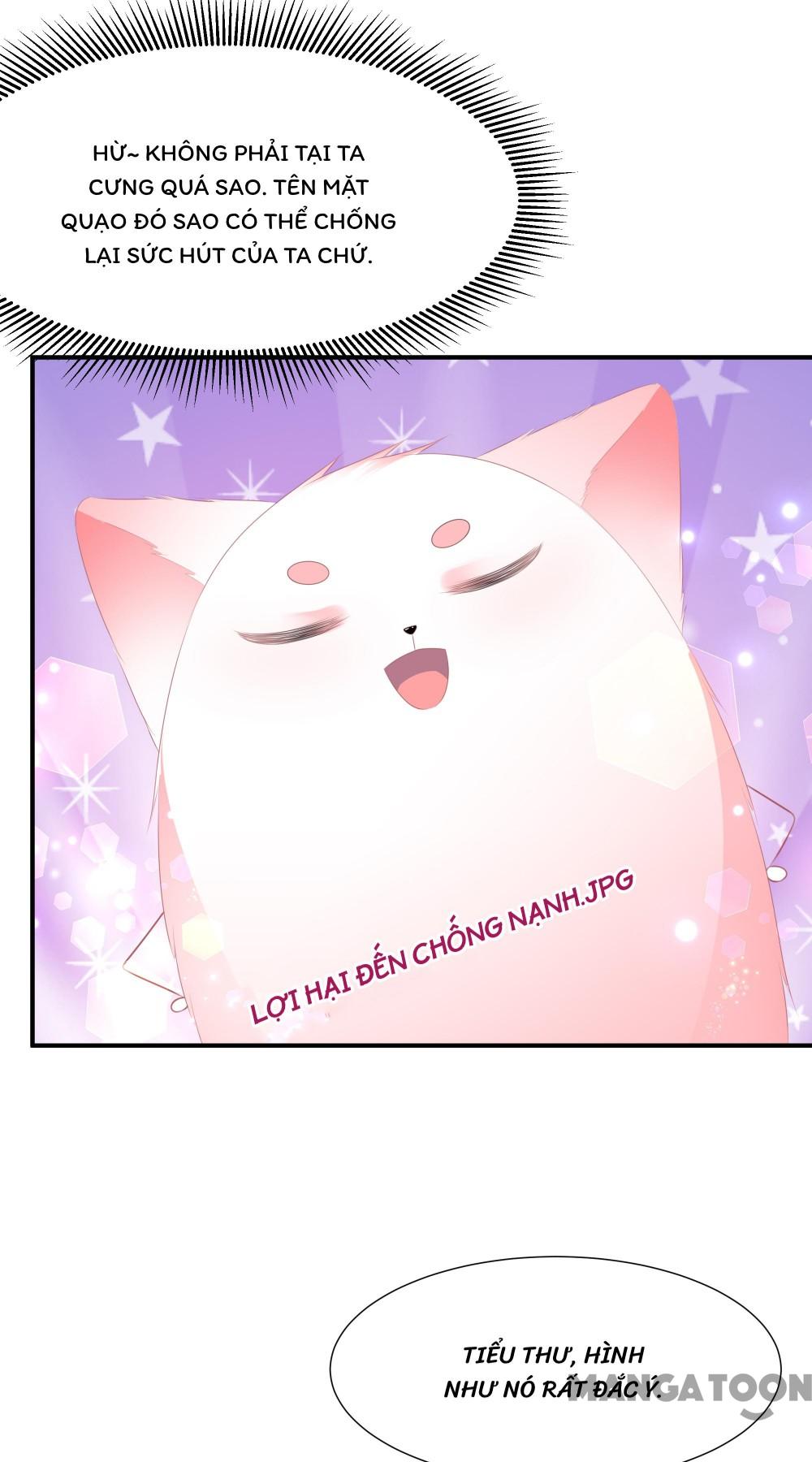 Hồ Phi Chớ Dây Vào Lửa Chapter 19 - Trang 8