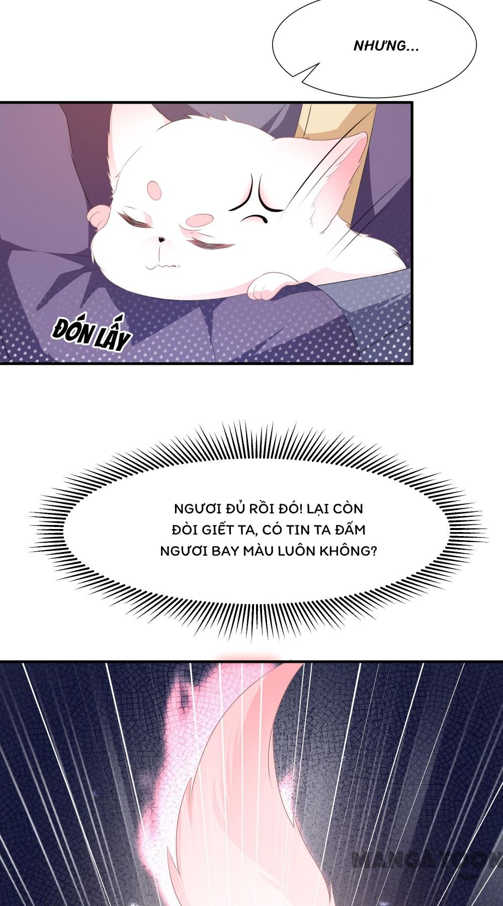 Hồ Phi Chớ Dây Vào Lửa Chapter 2 - Trang 10
