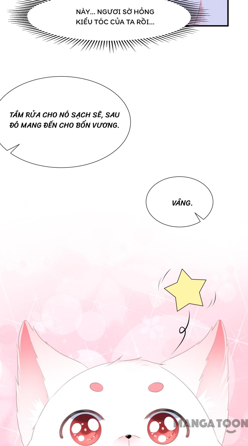 Hồ Phi Chớ Dây Vào Lửa Chapter 2 - Trang 17