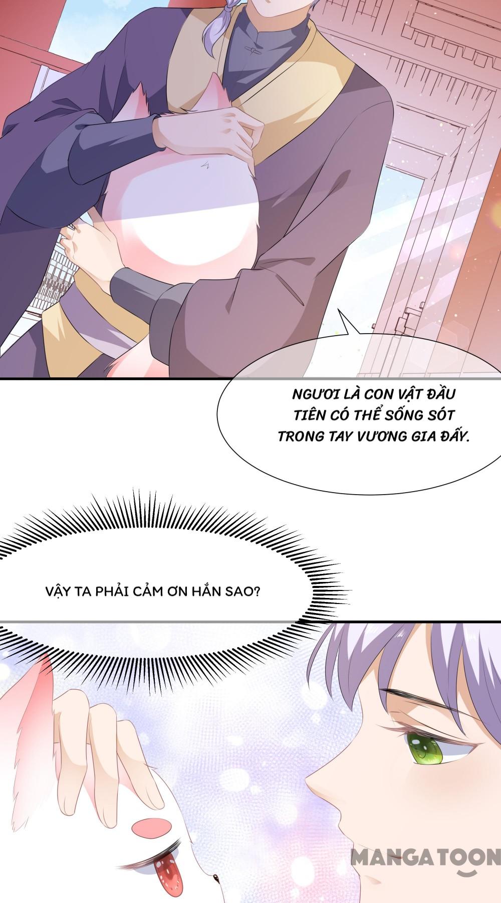 Hồ Phi Chớ Dây Vào Lửa Chapter 2 - Trang 19