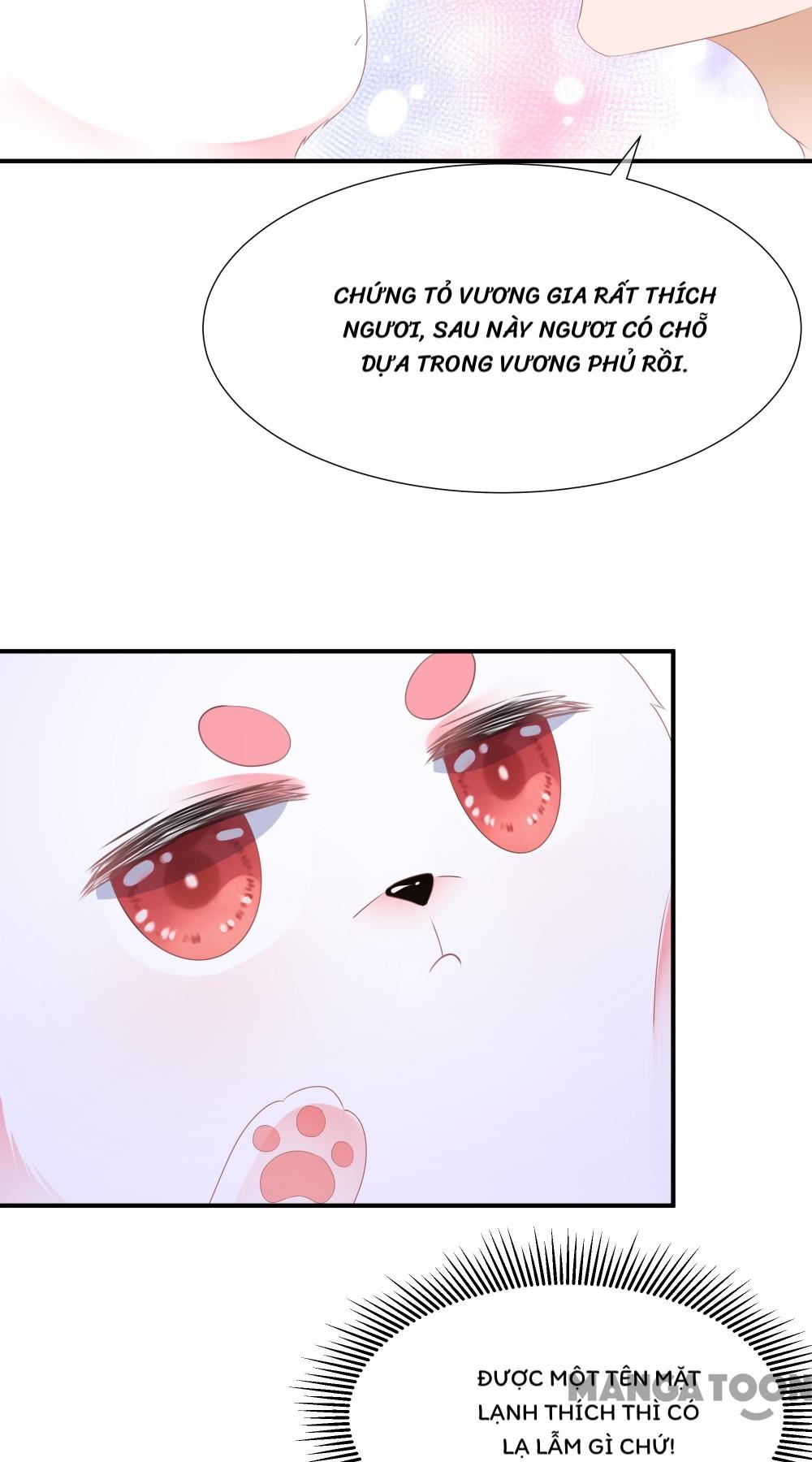 Hồ Phi Chớ Dây Vào Lửa Chapter 2 - Trang 20