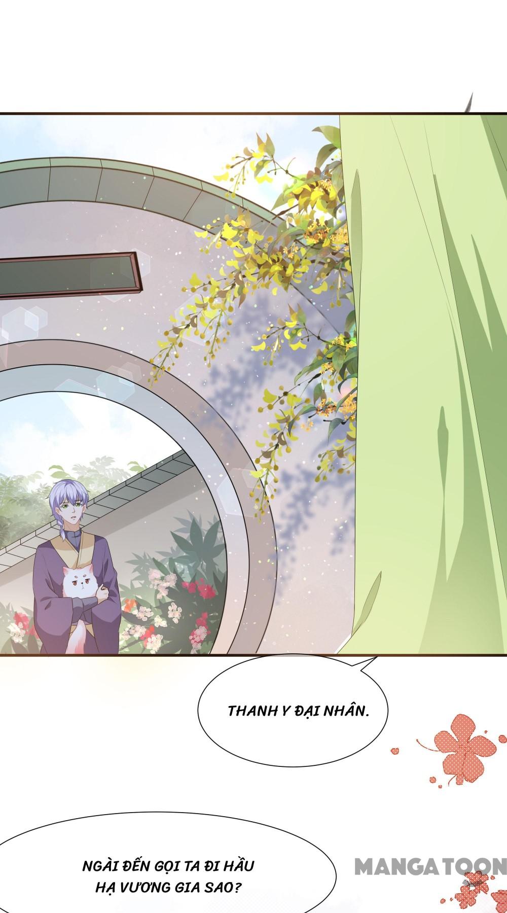 Hồ Phi Chớ Dây Vào Lửa Chapter 2 - Trang 23