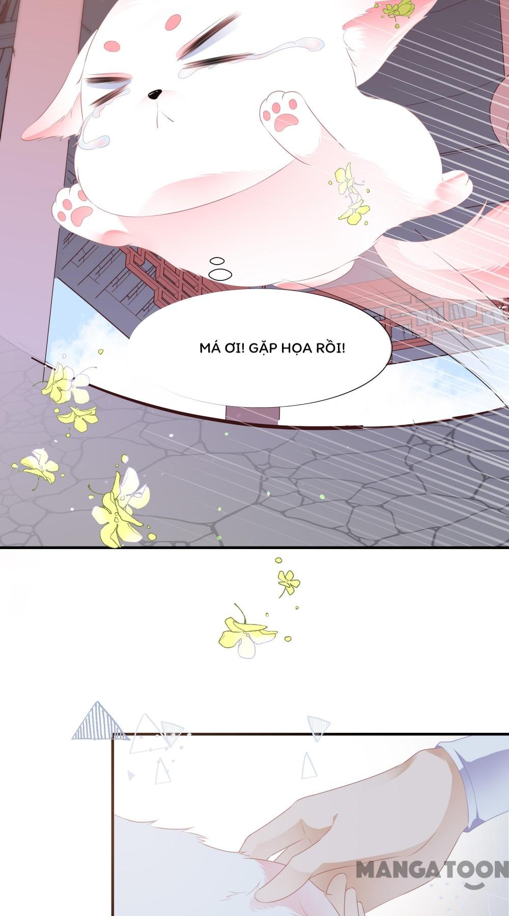 Hồ Phi Chớ Dây Vào Lửa Chapter 2 - Trang 5