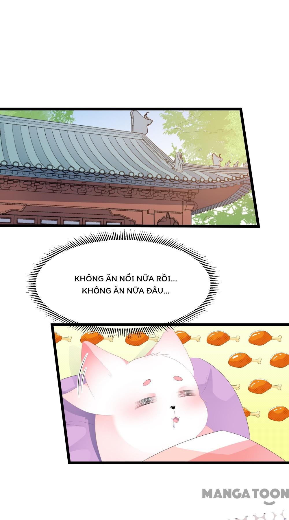 Hồ Phi Chớ Dây Vào Lửa Chapter 20 - Trang 20