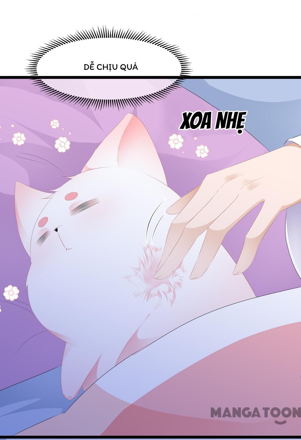 Hồ Phi Chớ Dây Vào Lửa Chapter 20 - Trang 25