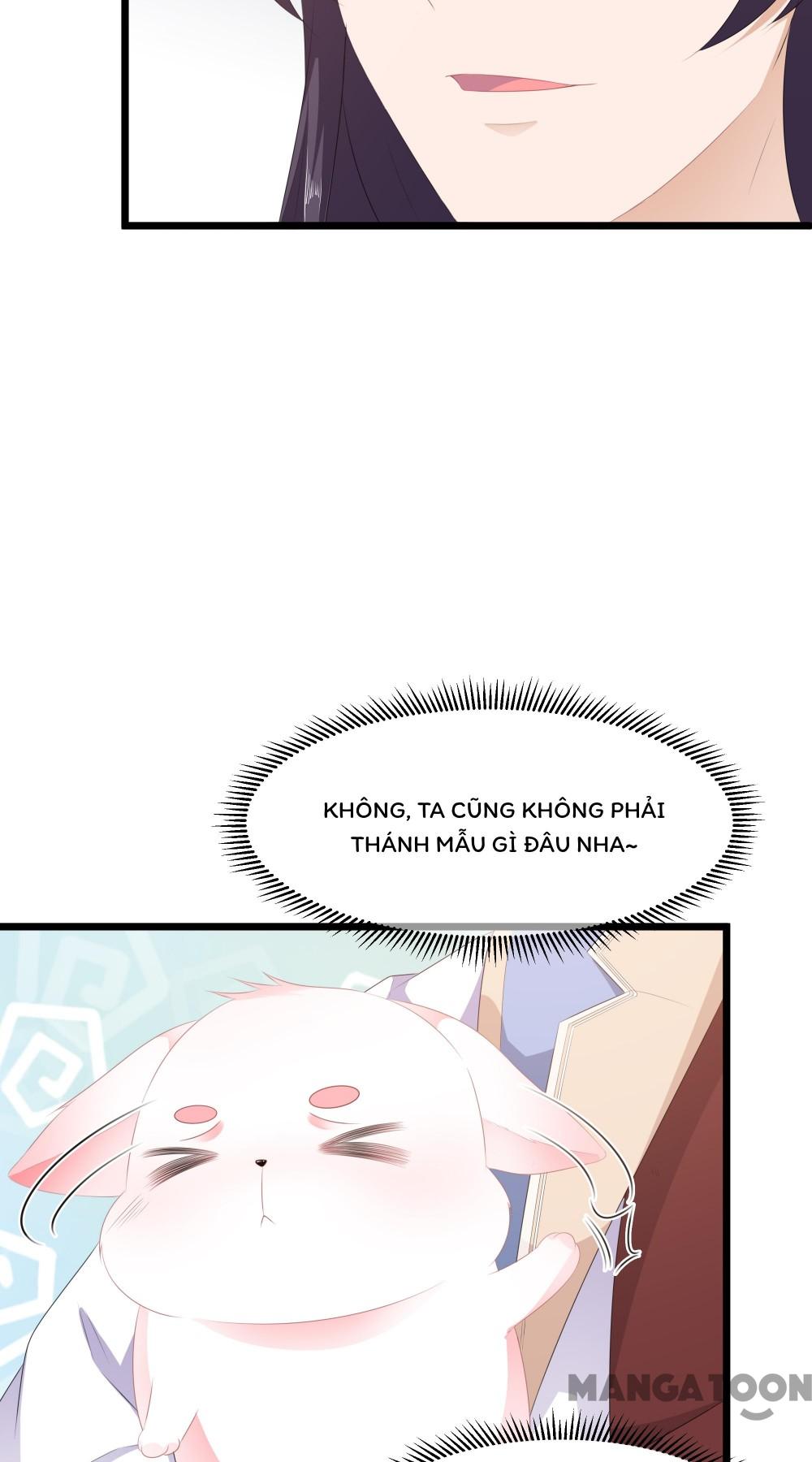 Hồ Phi Chớ Dây Vào Lửa Chapter 20 - Trang 5