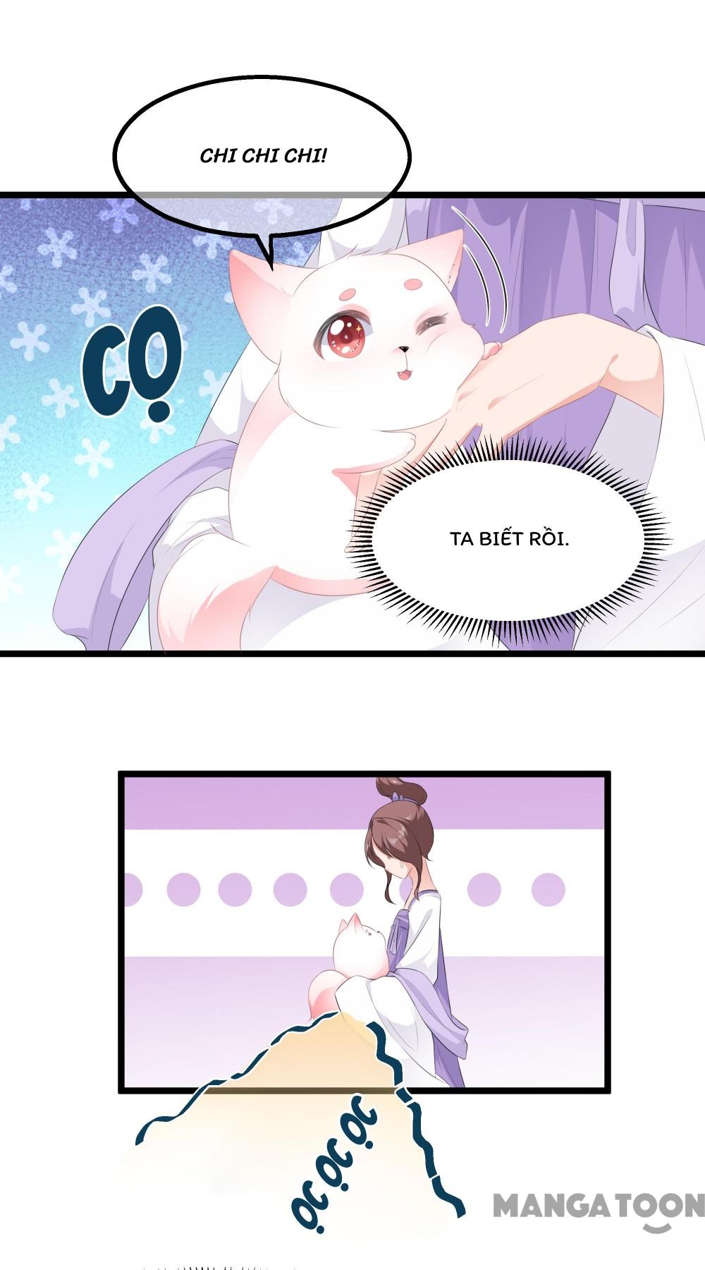 Hồ Phi Chớ Dây Vào Lửa Chapter 21 - Trang 10