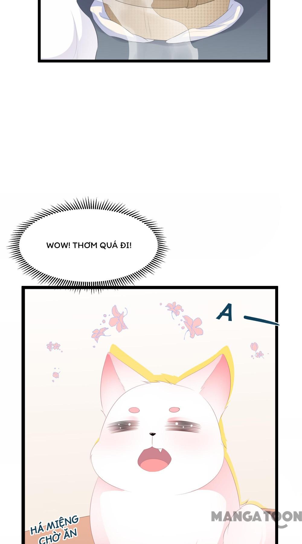 Hồ Phi Chớ Dây Vào Lửa Chapter 21 - Trang 14