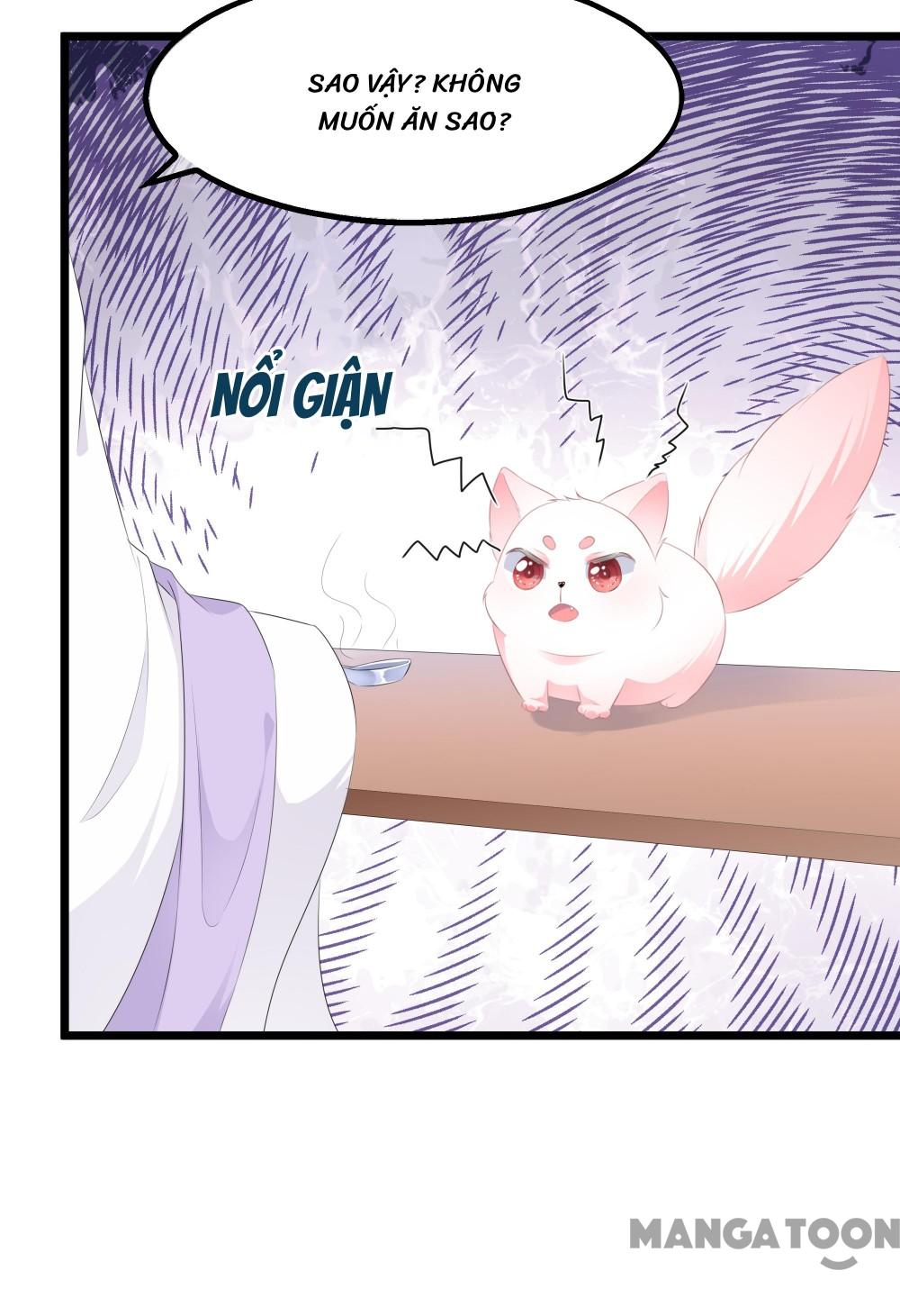 Hồ Phi Chớ Dây Vào Lửa Chapter 21 - Trang 17