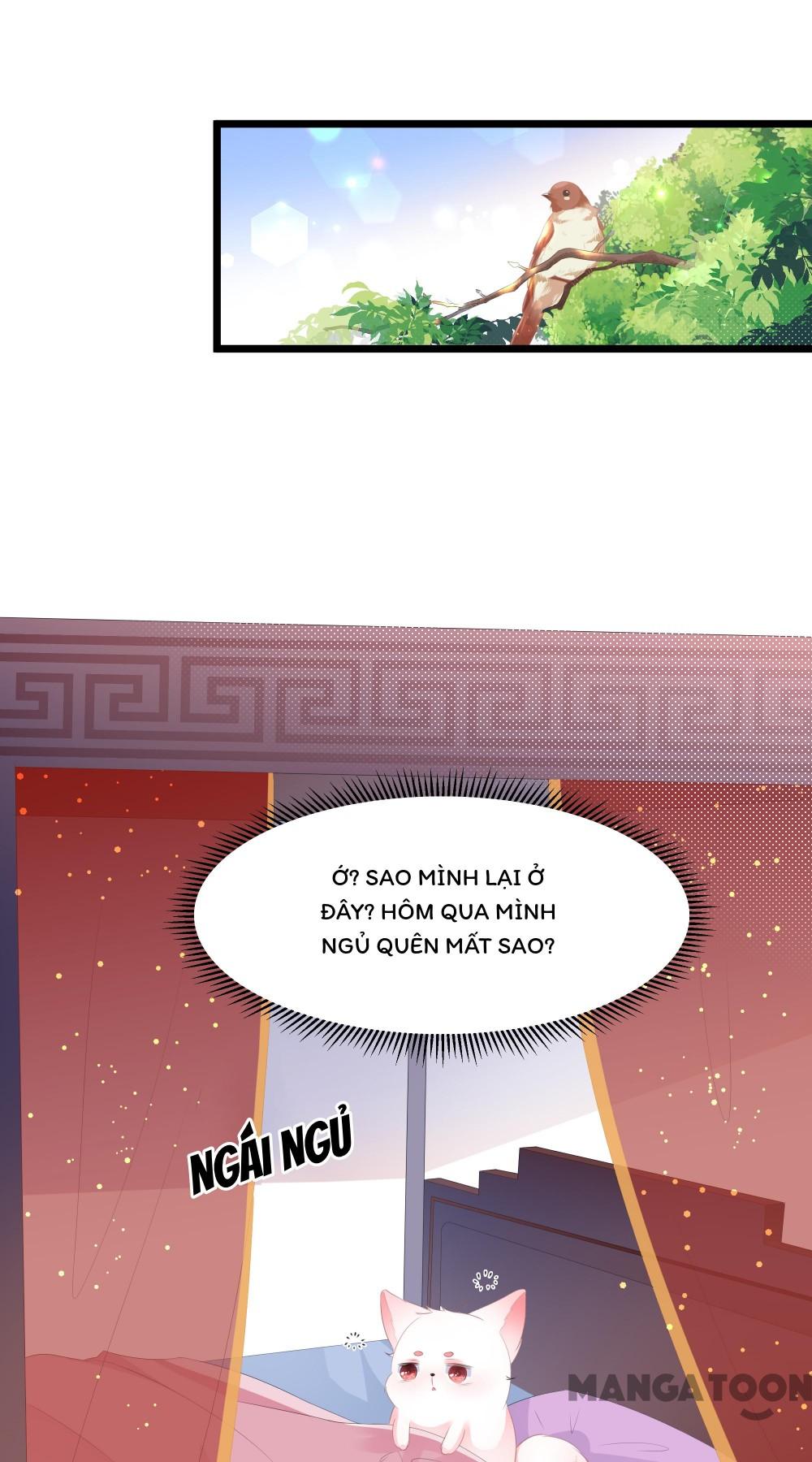Hồ Phi Chớ Dây Vào Lửa Chapter 21 - Trang 2